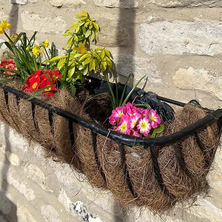 Casa vacanze Box Tree