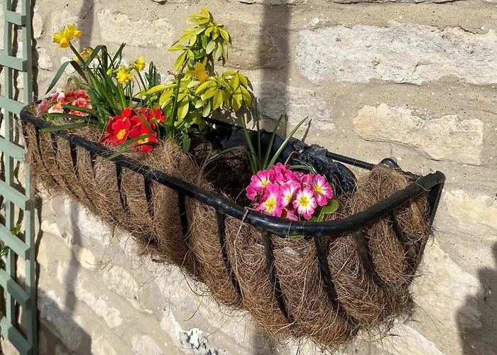 Vakantiehuis Box Tree